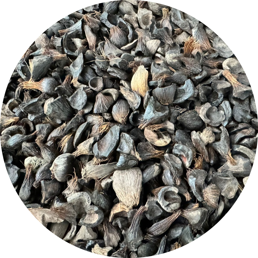 กะลาปาล์ม Palm kernel shell (PKS)